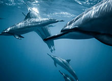 U21与CUBAL对抗赛精彩瞬间：新疆队于正轩命中三分